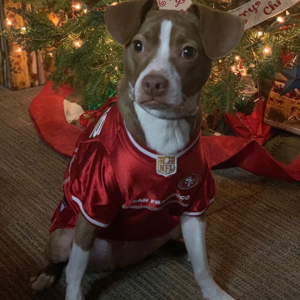 Meet your Posher, Steve